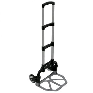  shot 2643887