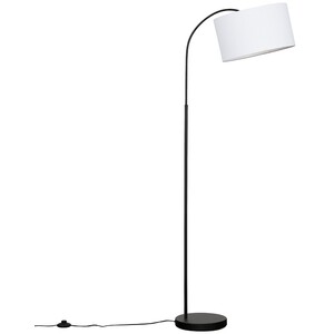 Curva Trend Black Floor Lamp