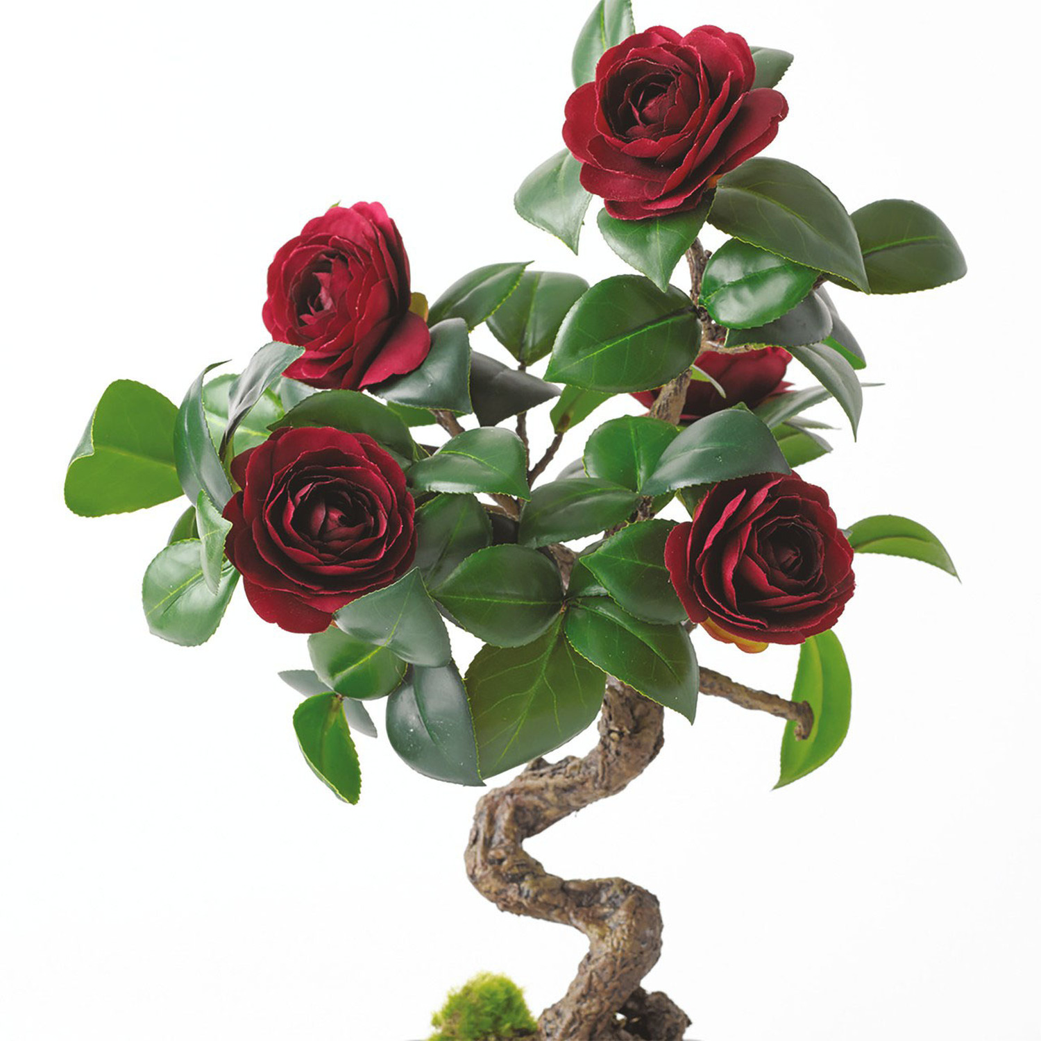 Artificial Ruby Camellia Bonsai Tree Plant In Planter - Ruby
