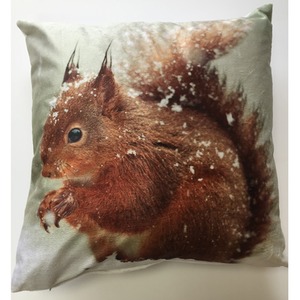 Squirrel Cushion Cover Multi (43x43)