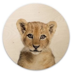 Lion Cub Wooden Wall Plaque