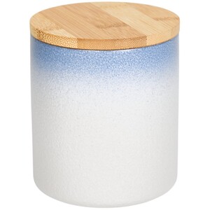 Oasis Reactive Glaze Canister