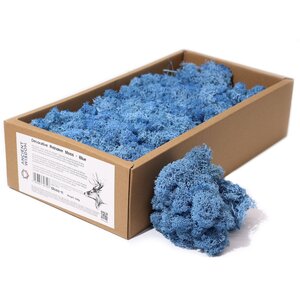 Blue Reindeer Moss Decorative Craft Floral Accent
