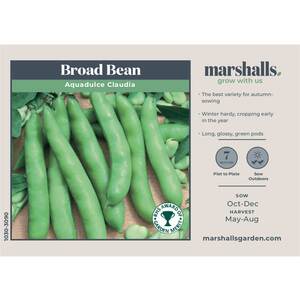 Marshalls Garden Broad Bean Seeds Aquadulce Claudia RHS Award of Garden Merit - Extra-early, Hardy