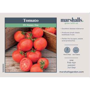 Marshalls Garden Tomato Seeds 'Oh Happy Day' - Cordon Beefsteak, Pack of 10