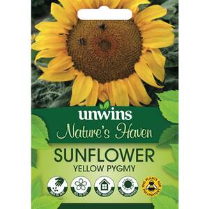 Marshalls Garden Yellow Pygmy Dwarf Sunflower Seeds - Pack of 20, 40 cm