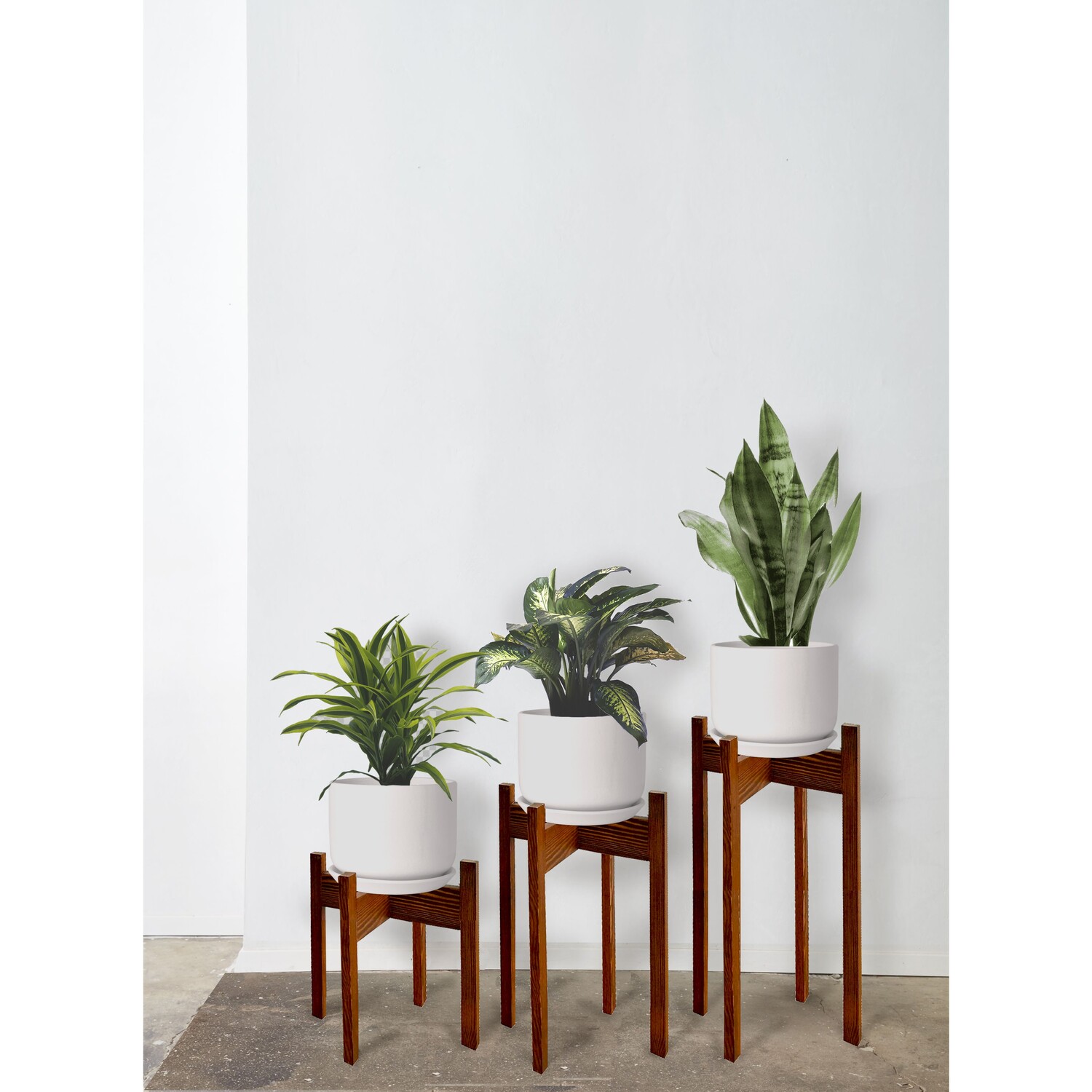 Florny 3 Pieces Plant Stand - Medium