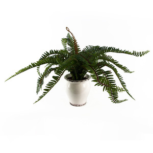 Artificial Fern Bush in Decorative Planter