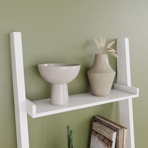  shot 4916281