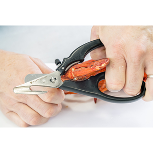  shot 5758255