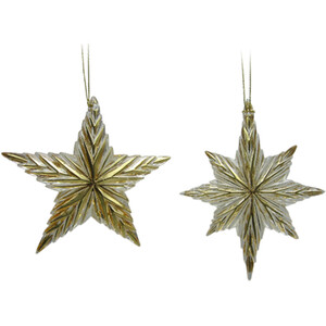 Acrylic Golden Star