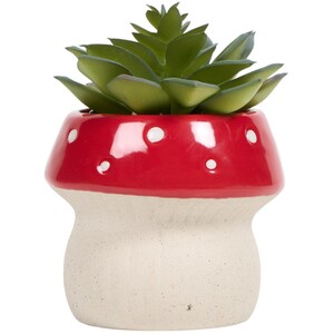 Succulent in Mushroom Pot
