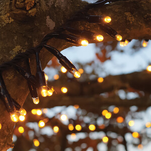Cluster Lights Black Rubber IP65 5m250 LED GC