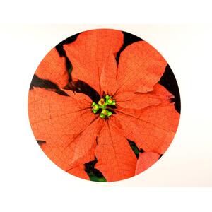Poinsettia Circular Impuzzible 400 Piece Jigsaw Puzzle  - No 38