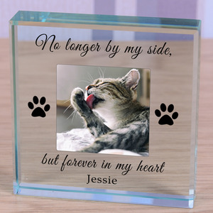 Cat Memorial Forever in my Heart Pet Memory Glass Token