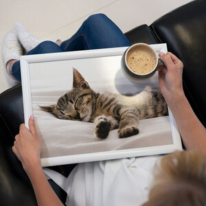 Creative Tops Kitten Lap Tray,