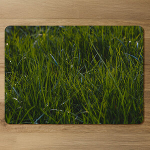 Fresh green grass background, natural grass Designer Placemat Set