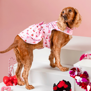 Berry Sweet Dog Dress