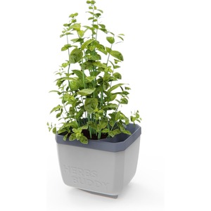 Herbs Buddy herb pot with water reservoir