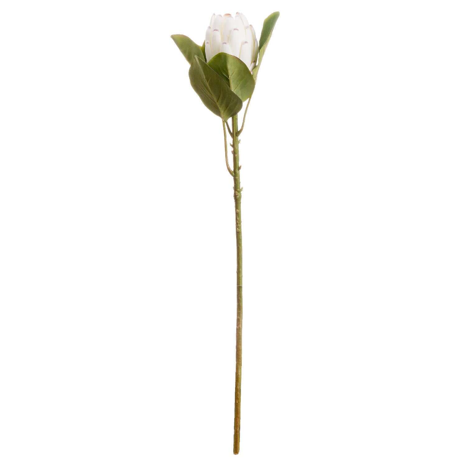 Set of 3 Closed Protea Artificial Flower Stems - White