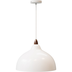 Modern E27 Pendant Light with Metal Lampshade