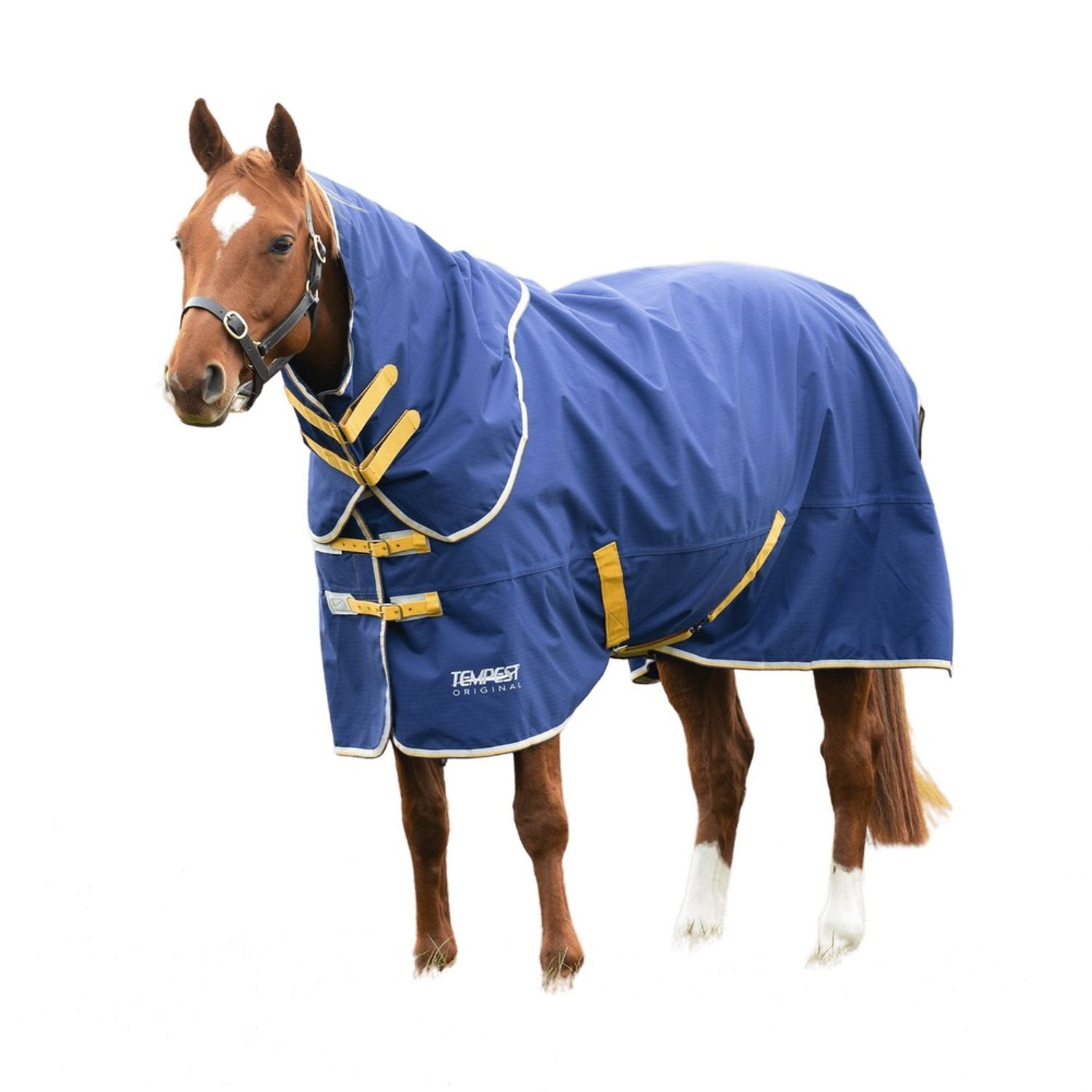 Tempest Original 50G Horse Turnout Rug & Neck Cover - Navy / Polyester