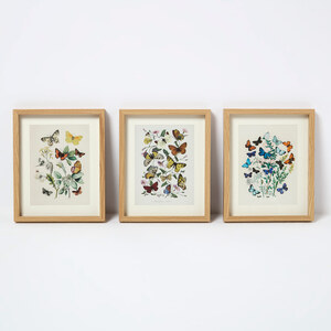 Framed Butterflies Wall Art, 20 x 25cm, Set of 3