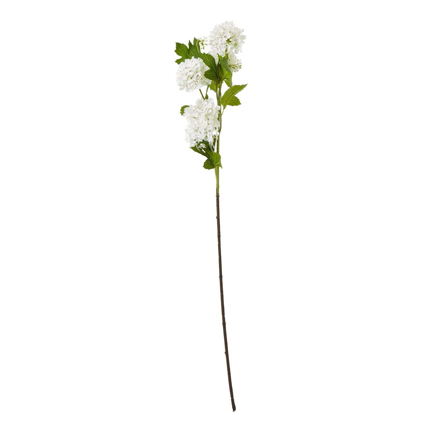 Lemon Pavilion Furniture And Decor Unisex Cream Snowball Viburnum Spray (Single Stem Flower) - Height 77 Cm - Image 2
