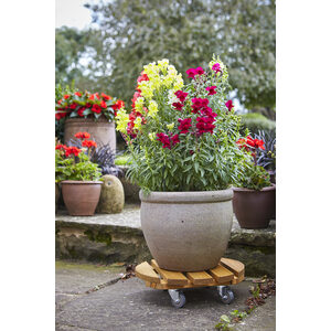  shot 1664157
