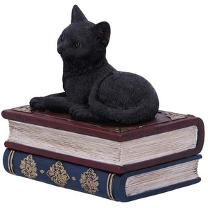 Salems Spells Witches Familiar Spellbook Box