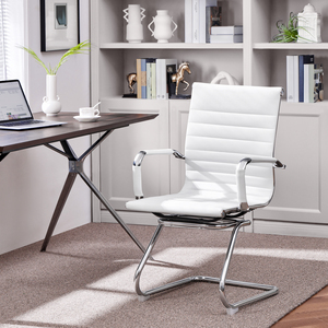 Set of 2 Modern Office Chair with Sled Metal Base