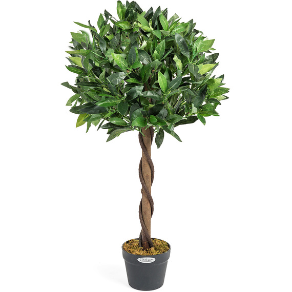 Artificial Bay Tree in Pot