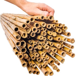 Thick Carbonised Caramel Bamboo Screening Roll