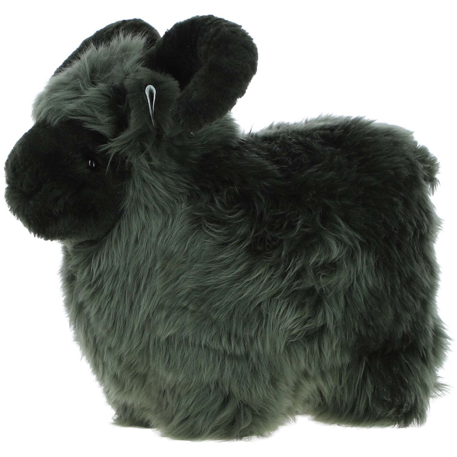 Lucky Sheep - Cypress