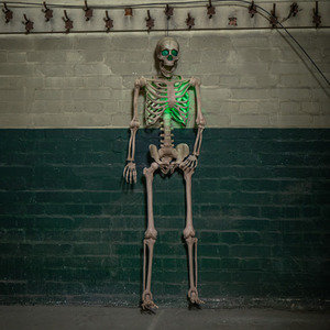 5ft Halloween Skeleton with Poseable Joints and Green LEDs