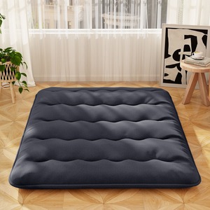 Portable Sleeping Pad