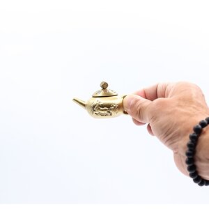Feng Shui Fortune Lucky Teapot with Dice Spin Brass Horse Symbol
