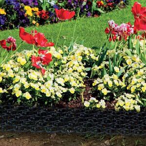 Garden Plant Animal Repellent Spikes Guard - 49 x 13 x 3cm - 6 Set of 2