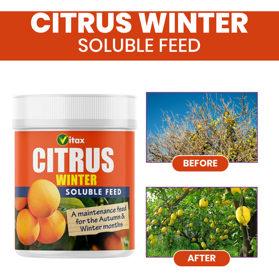 Vitax Citrus Feed - Winter
