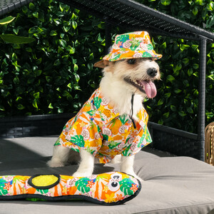 Jungle Fruits Dog Shirt