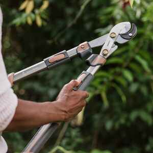 Kent & Stowe Hard Wood Extra Power Geared Anvil Loppers - SK5 Blades, 40mm Cut, Telescopic Handles
