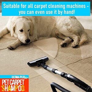  shot 15069529
