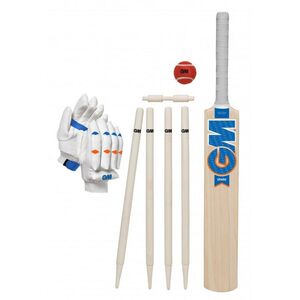Gunn And Moore Eclipse 2022 Cricket Bat Set (Pack Of 10)
