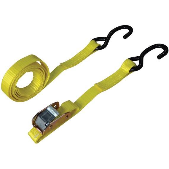 BlueSpot Tools S-hook cam buckle strap 25mm x 2m, 250kg working capacity