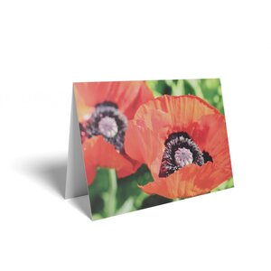 Red Poppies Folded Card with Care Info 125 Pack