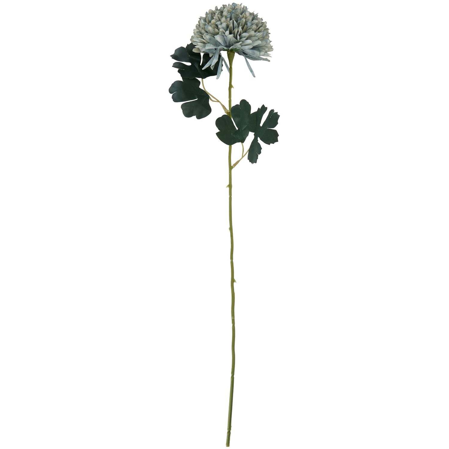 Sostter Unisex Blue Chrysanthemum Stem In Teal Sage In - Image 2