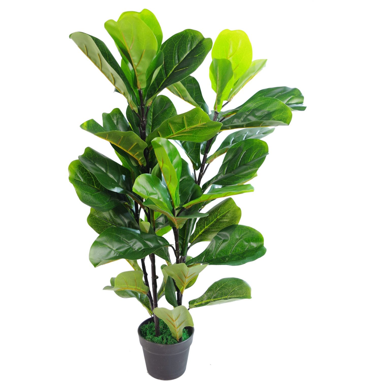 Large Artificial Fiddle Fig Tree Ficus Lyrata Plant - Green / 40cm