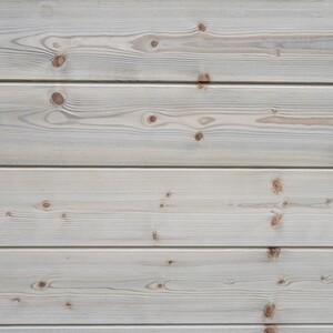  shot 2616236