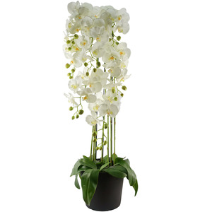 Extra Large Floorstanding Artificial Orchid