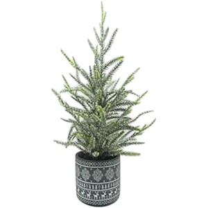 Pattern Potted Tree